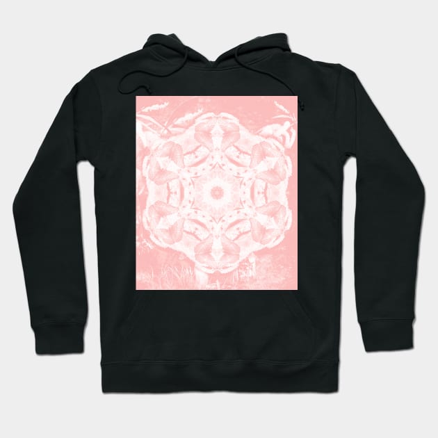 Kaleidoscope of butterflies in rose quartz Hoodie by hereswendy